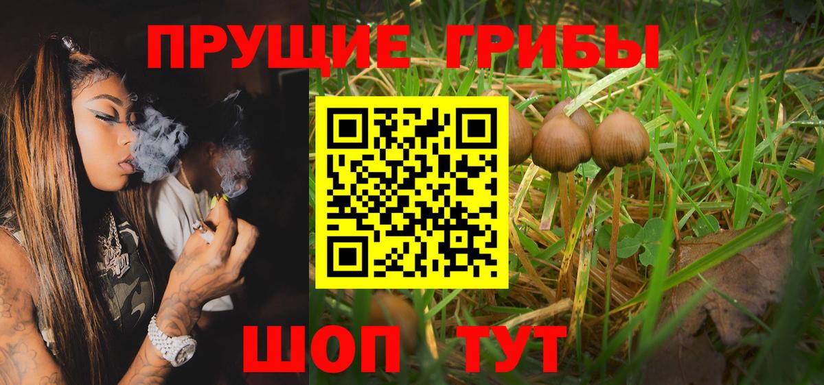 Галлюциногенные грибы Psilocybine cubensis Рузаевка