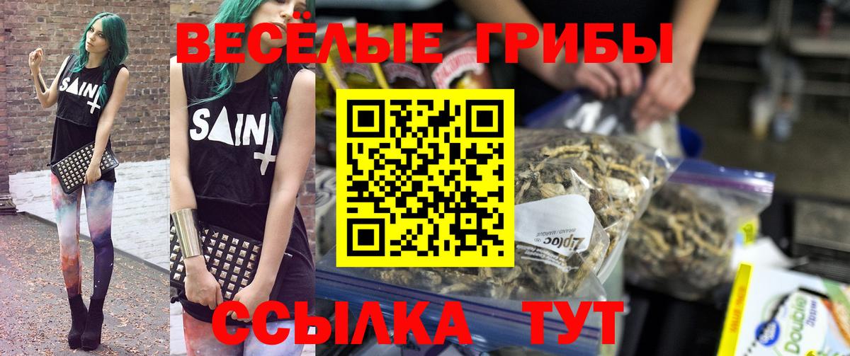 Галлюциногенные грибы Psilocybine cubensis  Вход с VPN  Рузаевка  Галлюциногенные грибы Psilocybine cubensis 